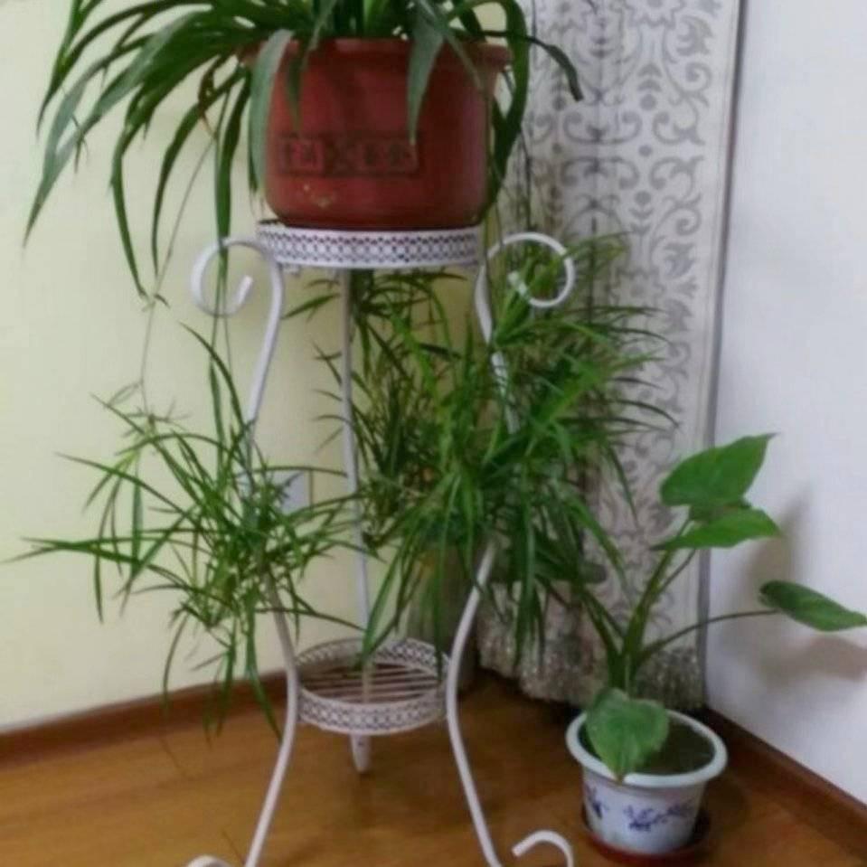 小开心（不要连赞）