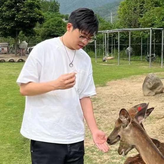 戈戈戈戈戈