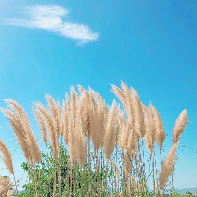 小艾玛☁️