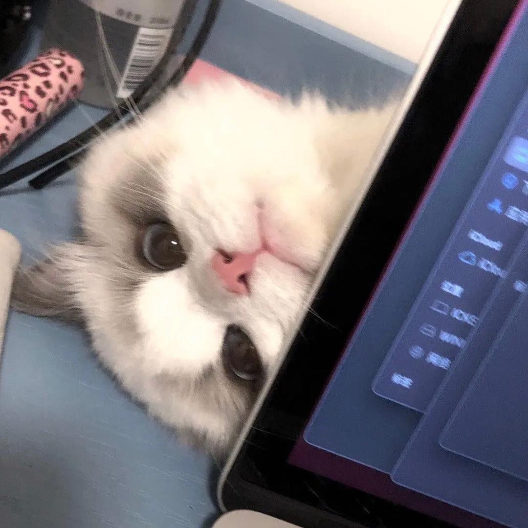 小名不减肥ᥫᩣ