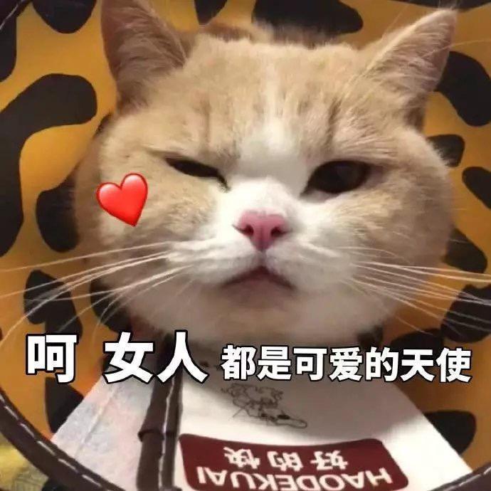财神来我家🔆