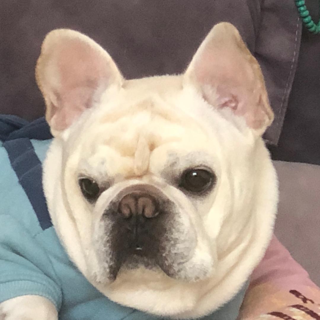 诶能能能你@%*#&