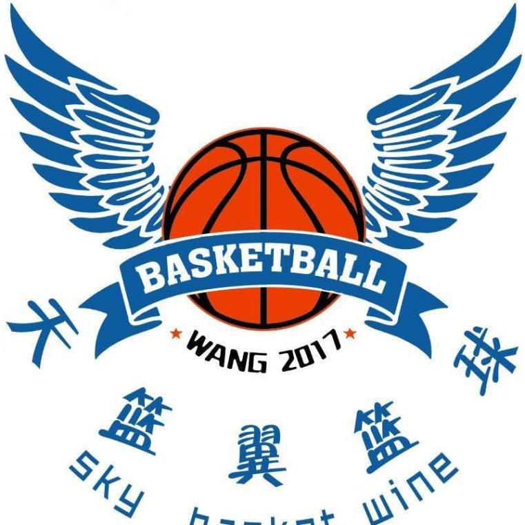篮球教练-王小宝