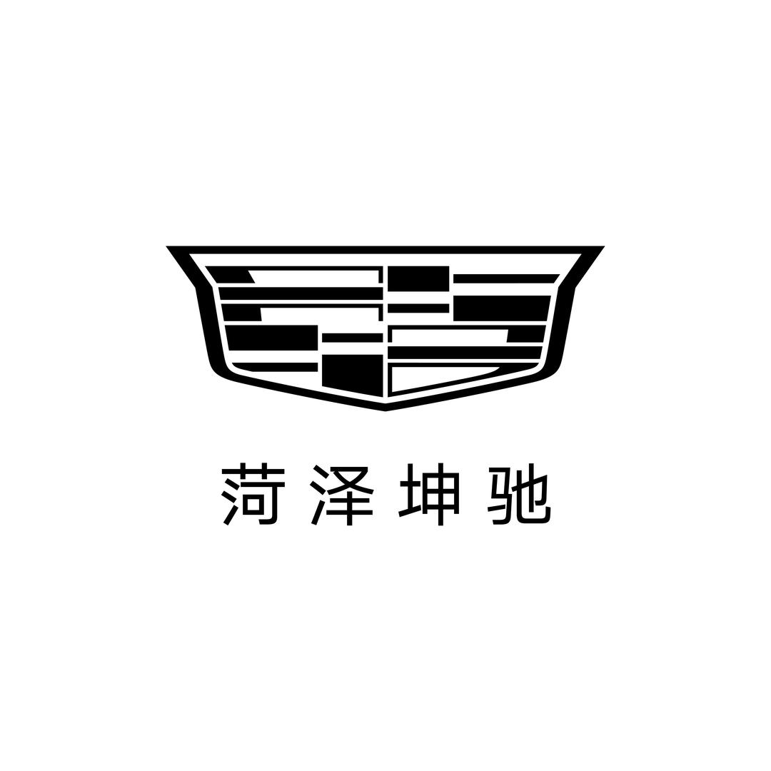凯迪拉克-菏泽坤驰（黄河东路店）
