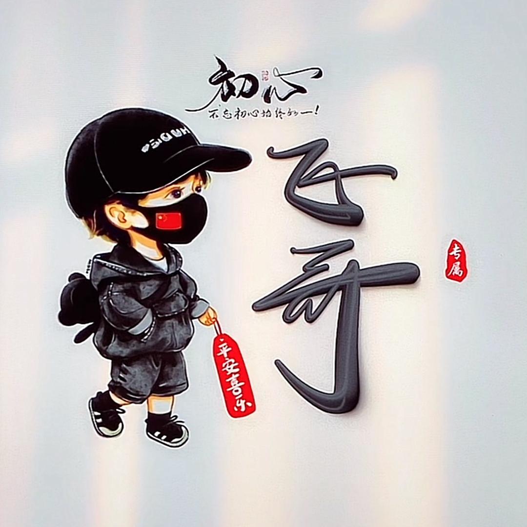 小飞侠9528