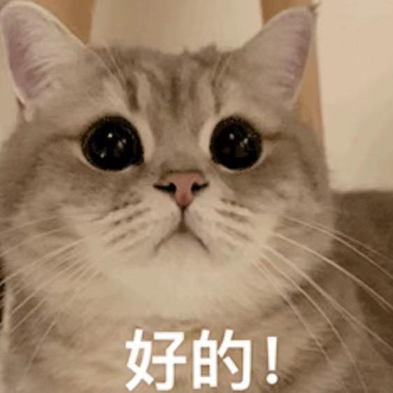 沦陷ovo