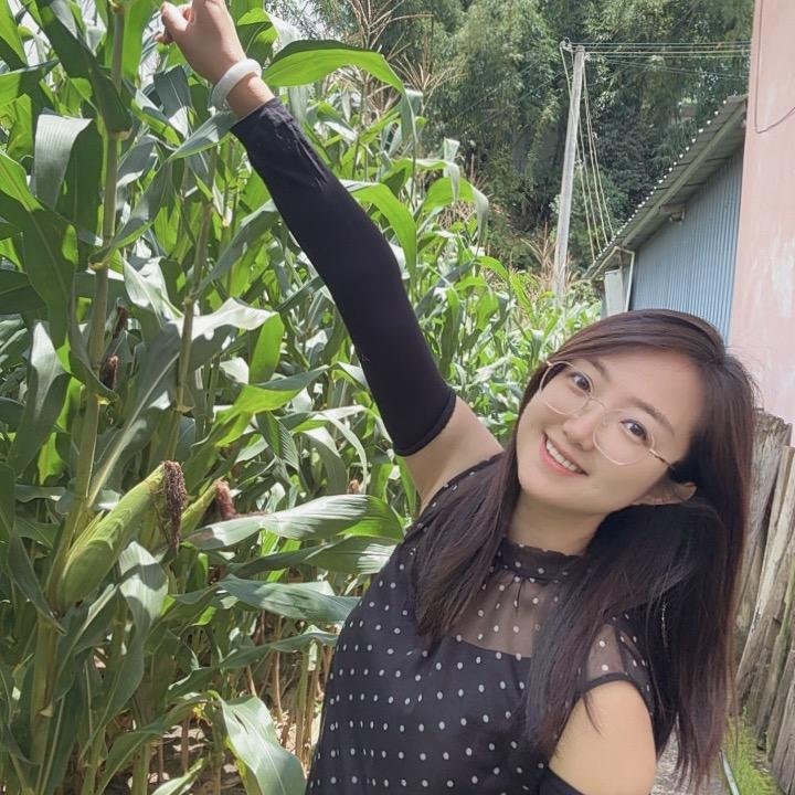 小乔不乔