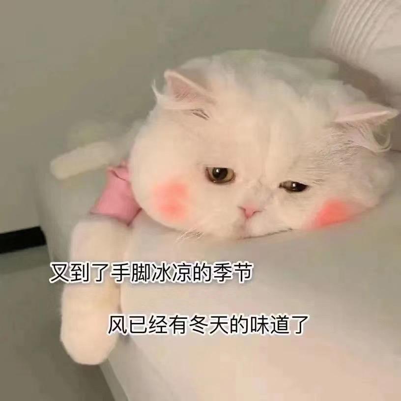 小乖乖好物