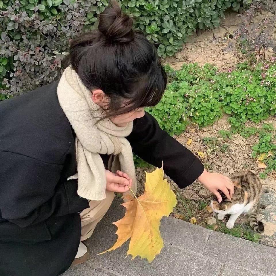 甜甜圈