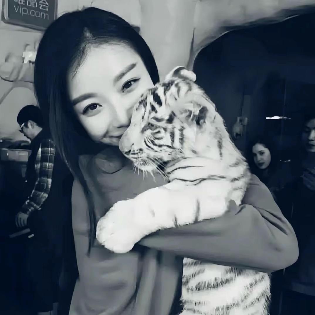 熊猫.
