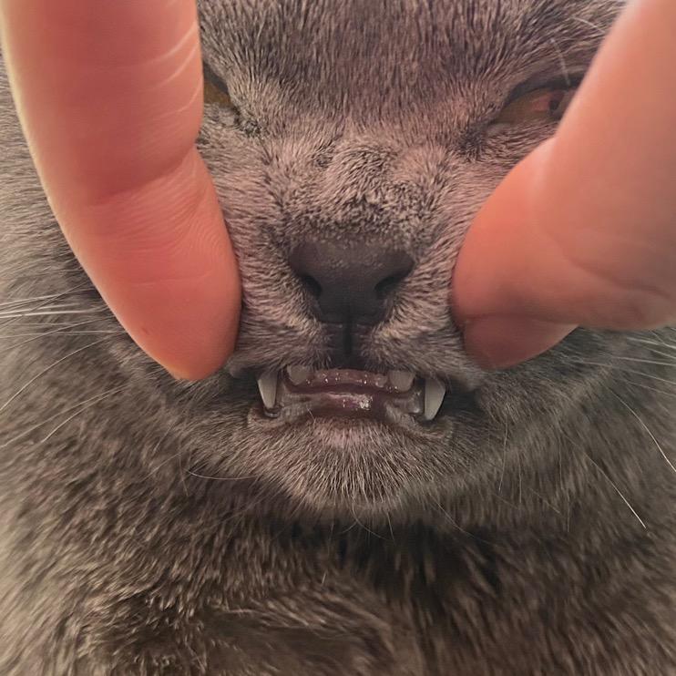 爱做什么都可以