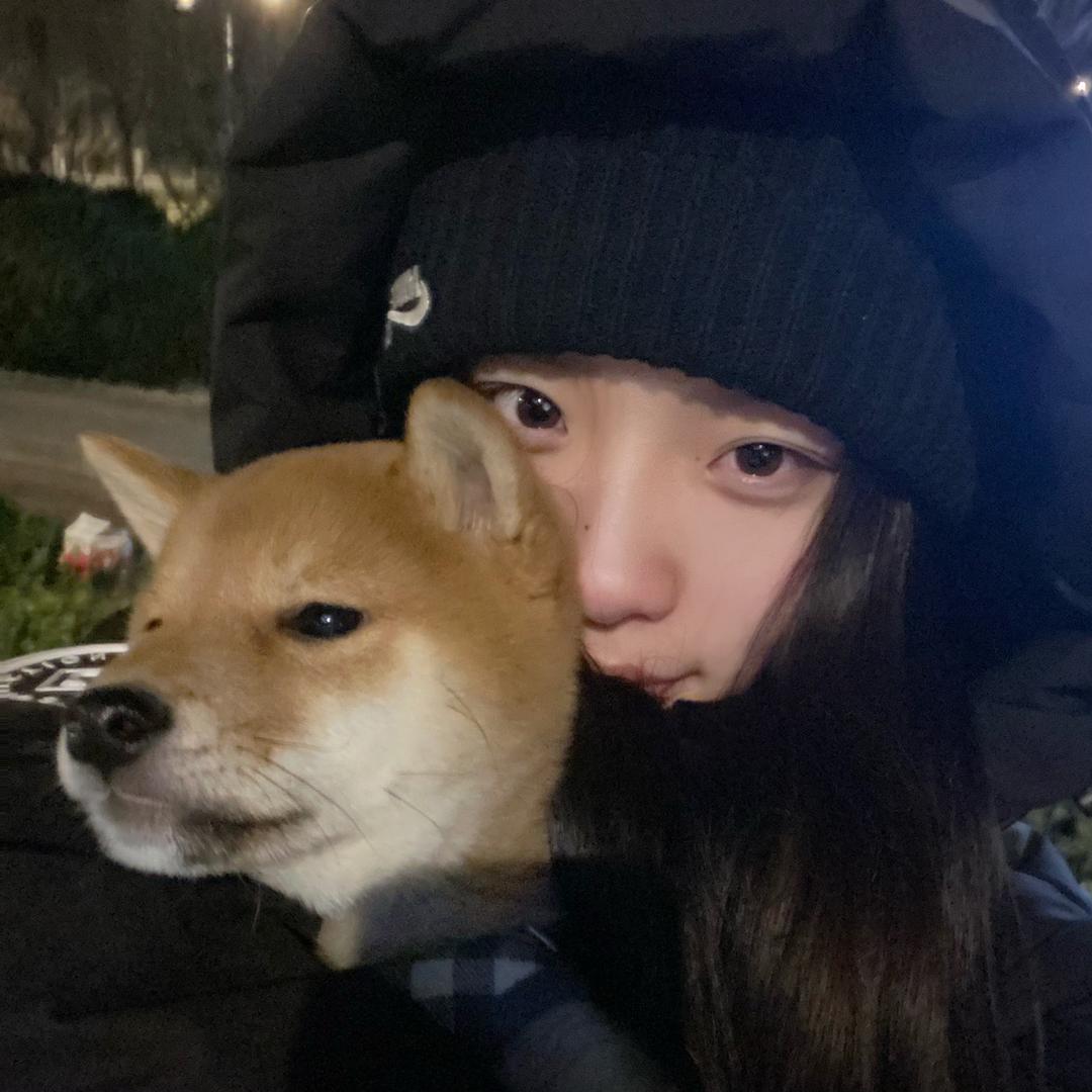 我爱吃土豆🥔