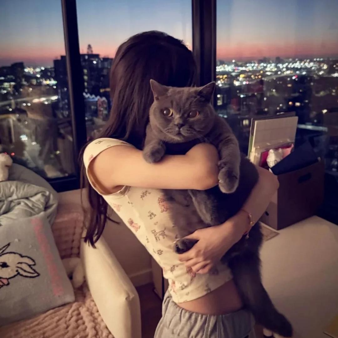 我有点爱吃Q🍬