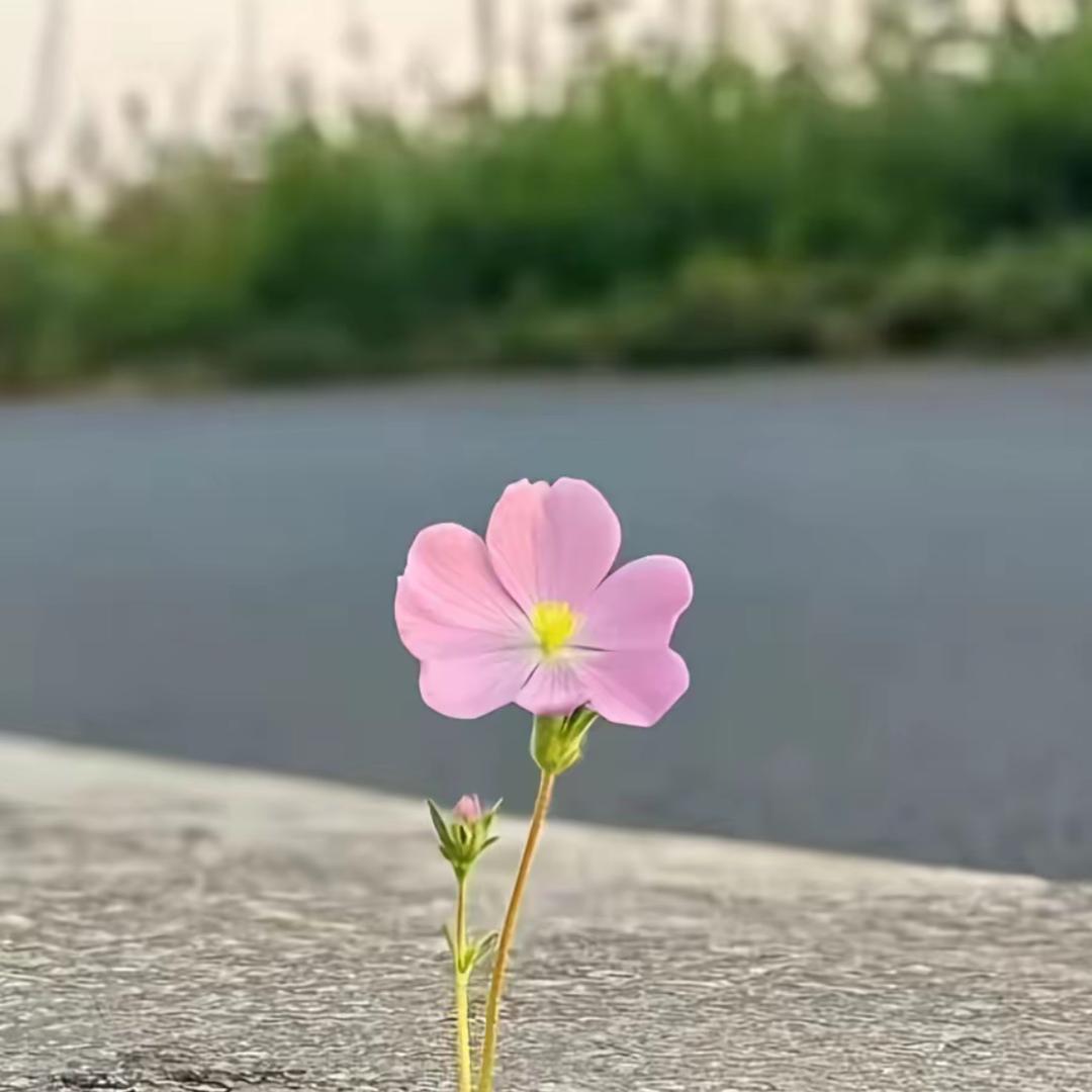 玄门精选