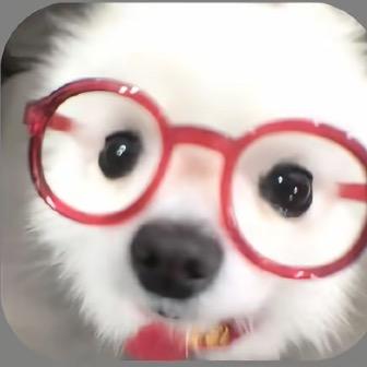 玉米🌽（一关一回）