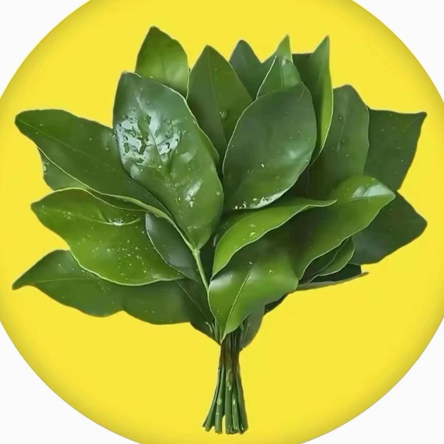 野不错地摊烧烤—橙子cc