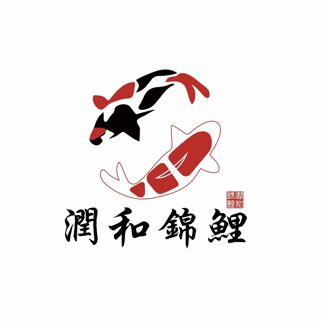 润和锦鲤甄选