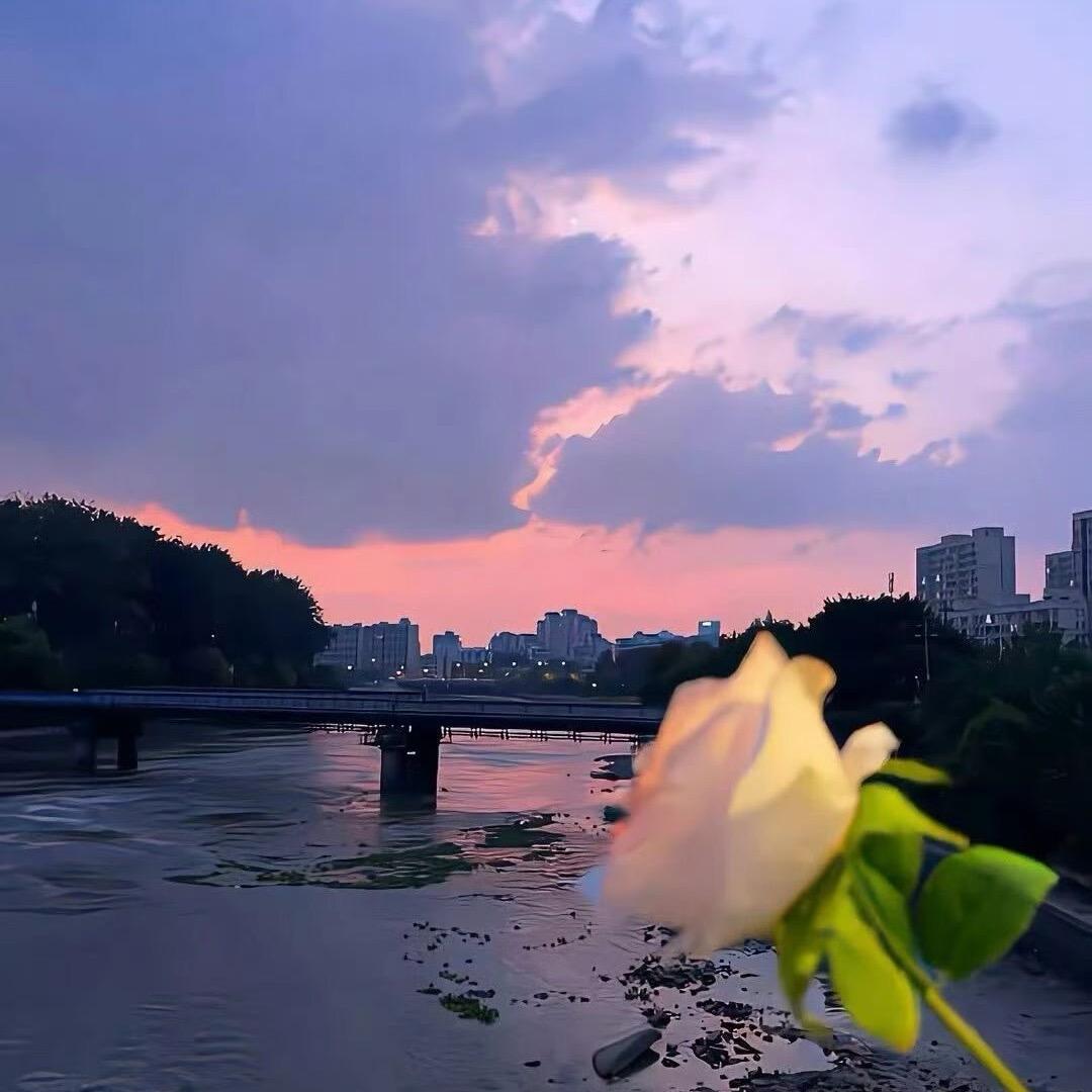悠然🍀