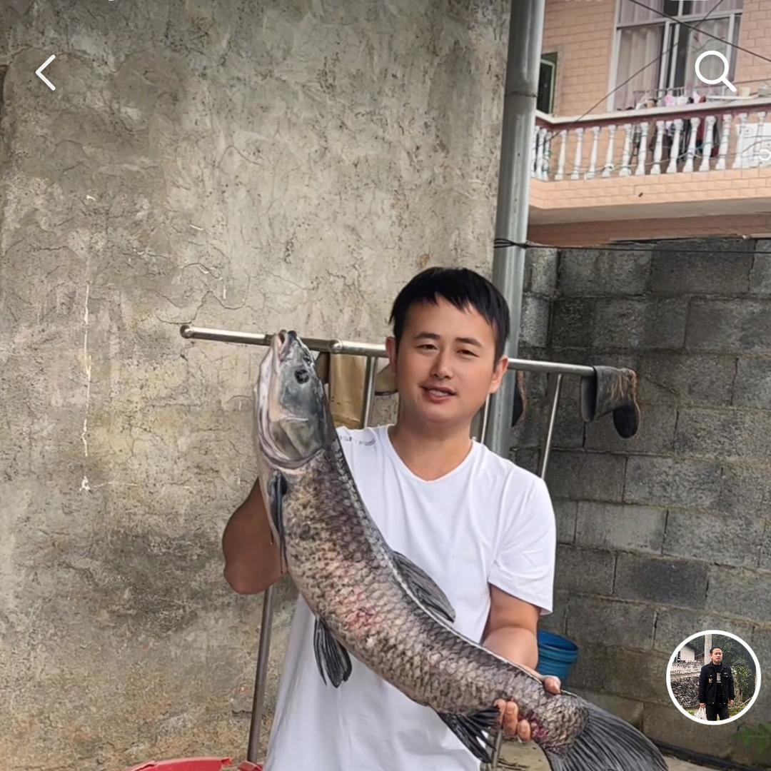 @湘西达摩(养号中）