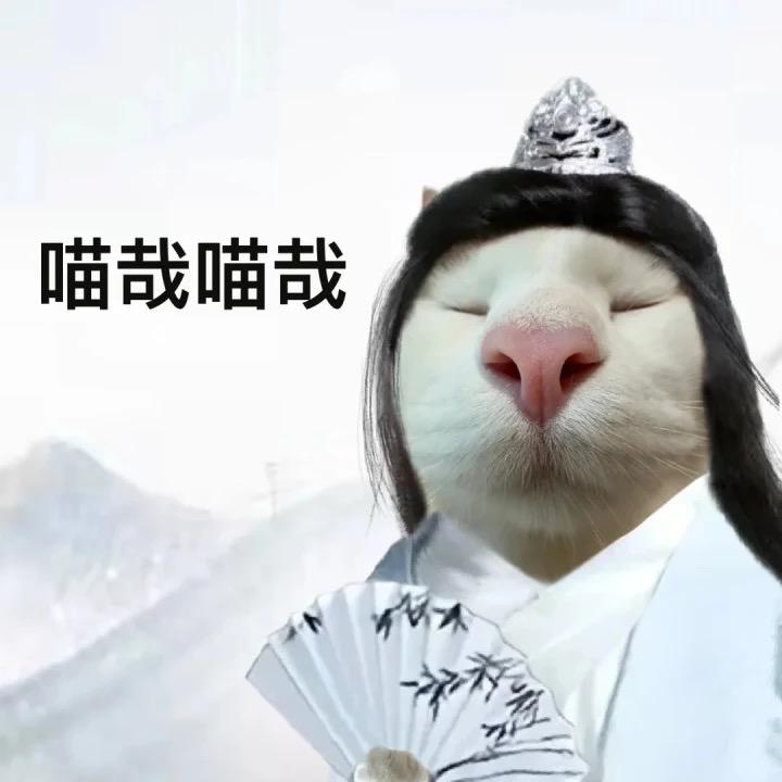喵哉～
