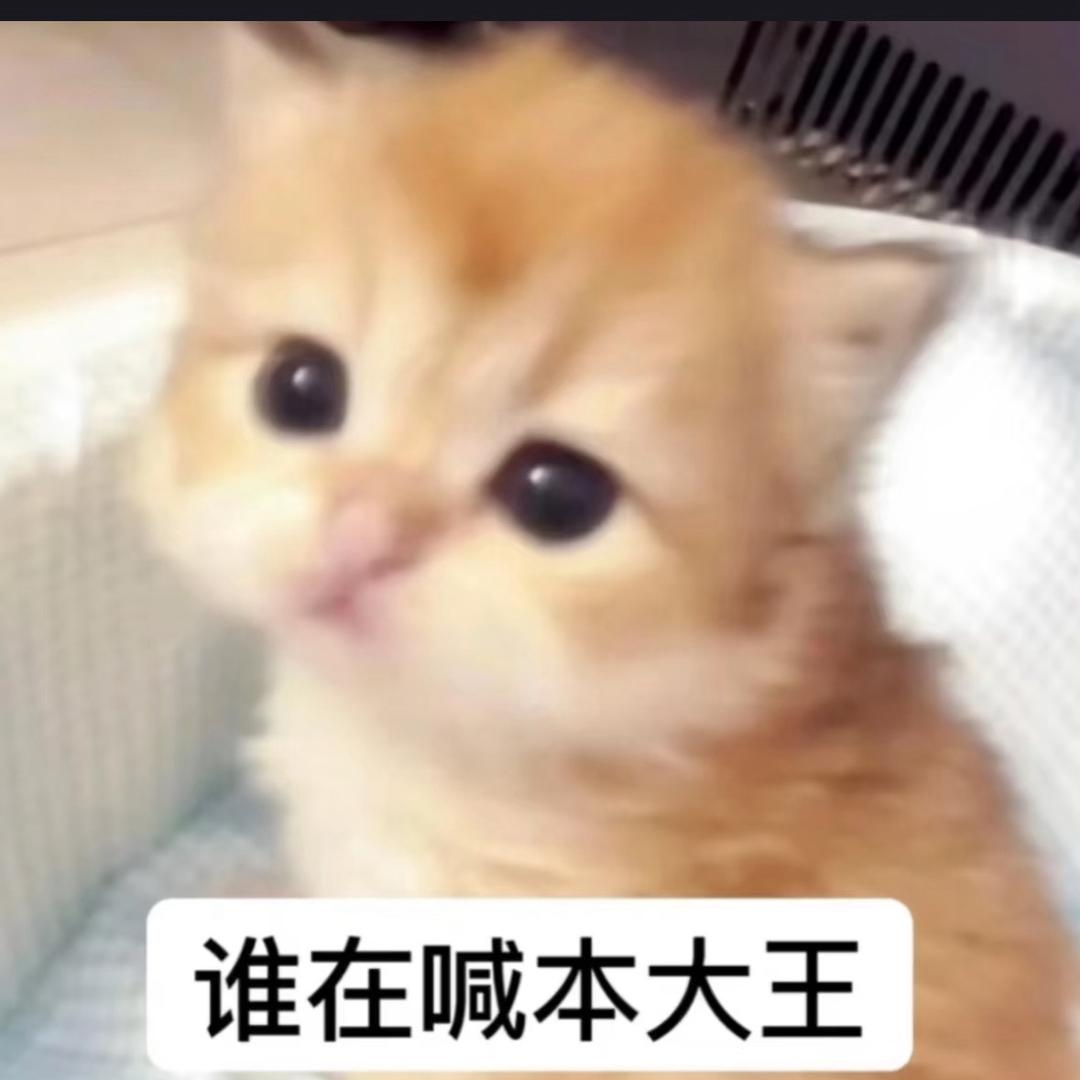 十级贤学家