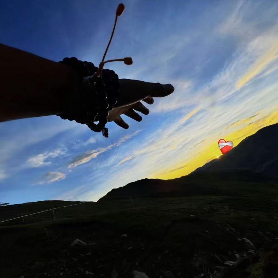 ࿐💐 1376✔️