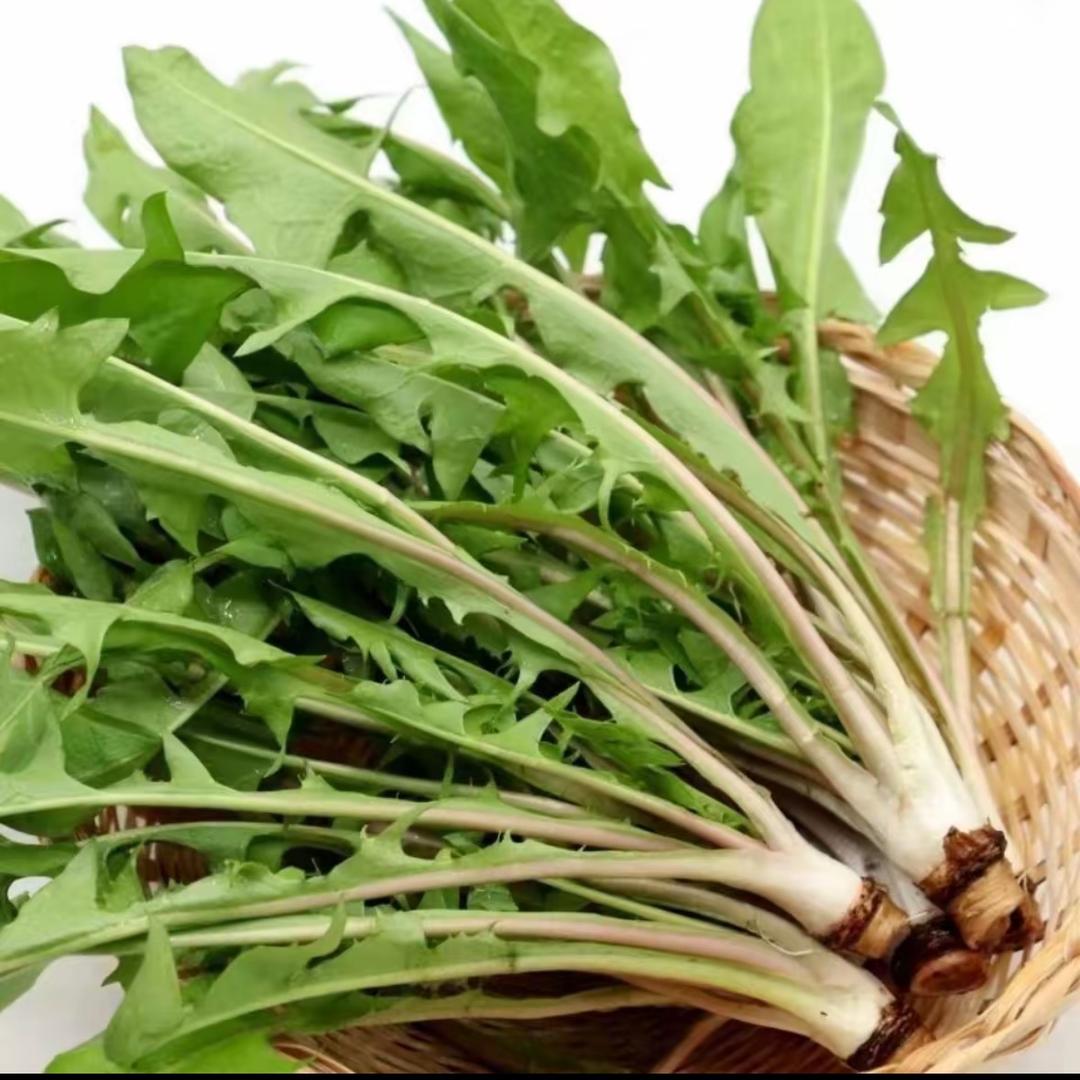 东北的东黑土地