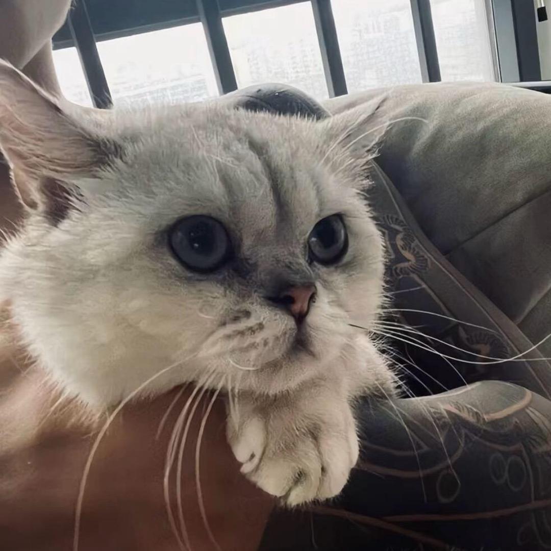 ㅤㅤㅤㅤㅤㅤㅤㅤㅤㅤㅤㅤㅤㅤㅤㅤㅤㅤㅤㅤ