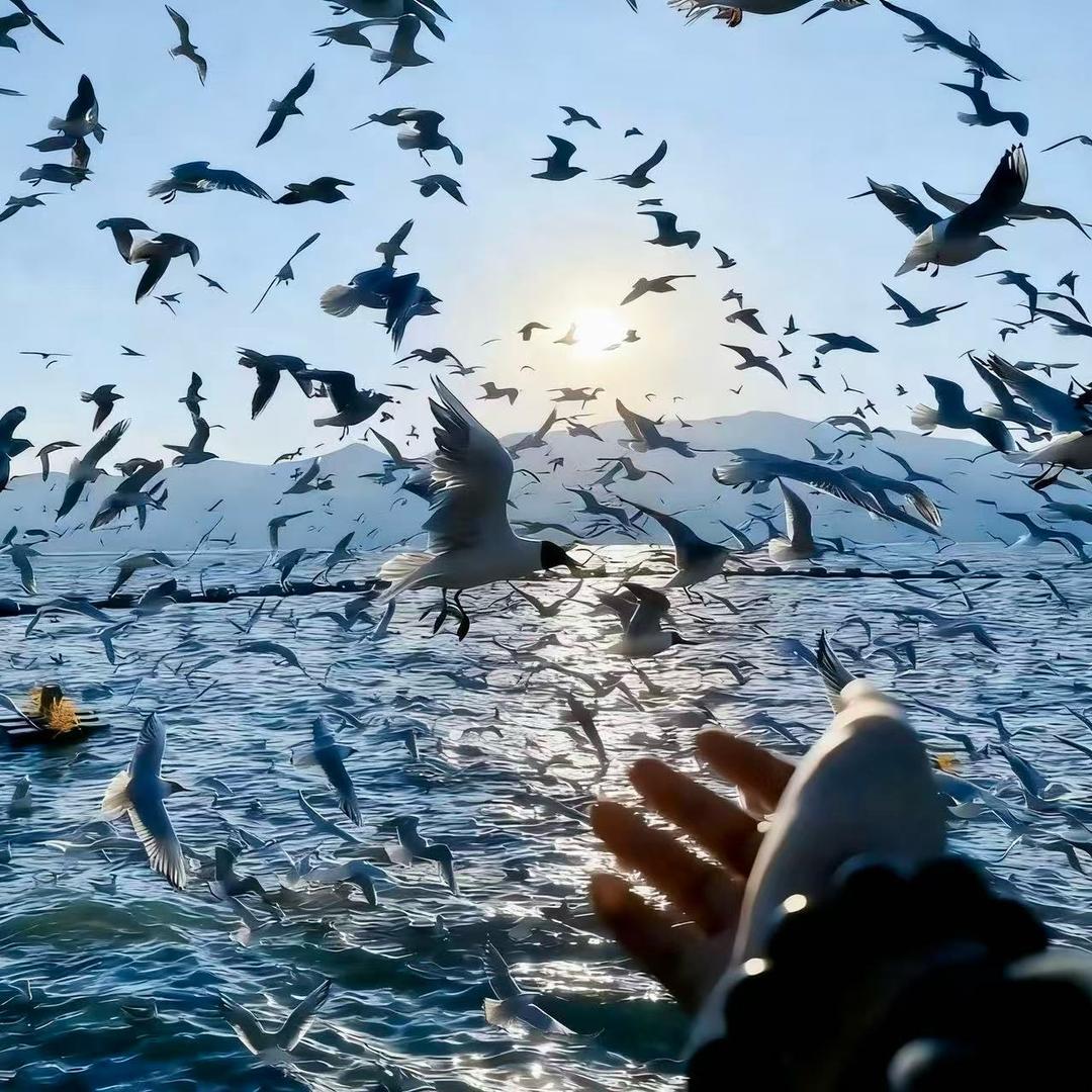 睡不着，睡不醒