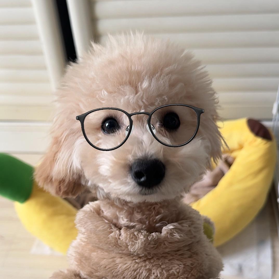 梁还好。