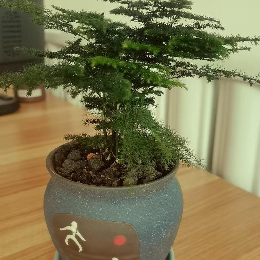 下个路口等你（小号）