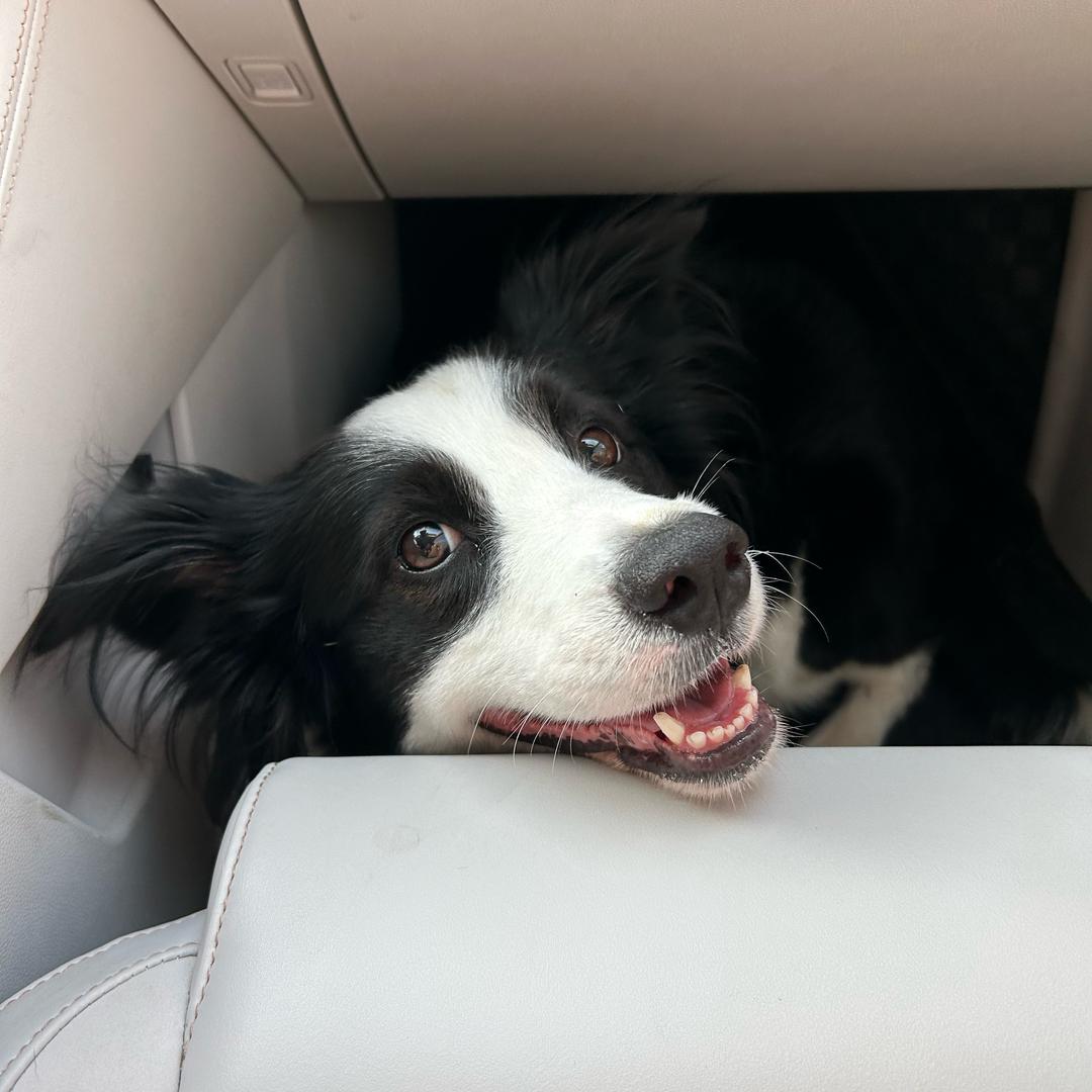 母乳指导.李（多多娃）