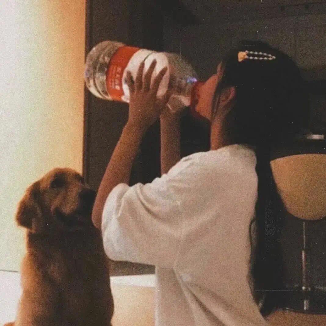 张张.🍋