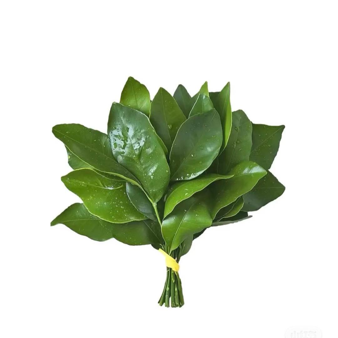 艾余日记