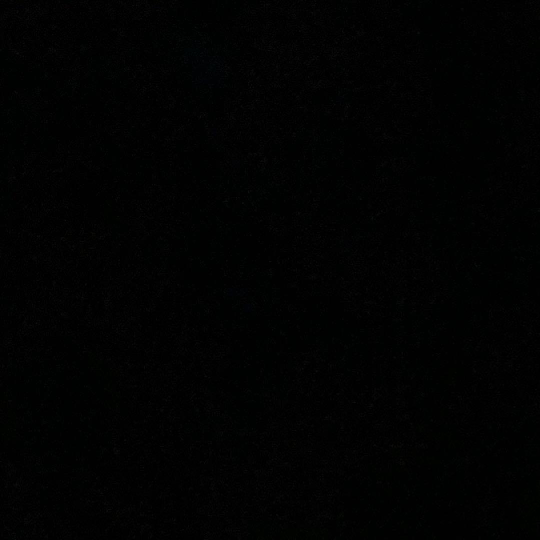 重庆狼队.范冰冰