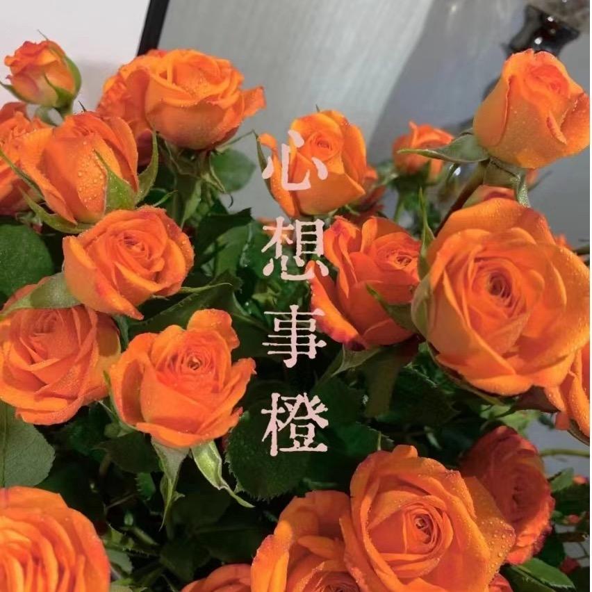 三水