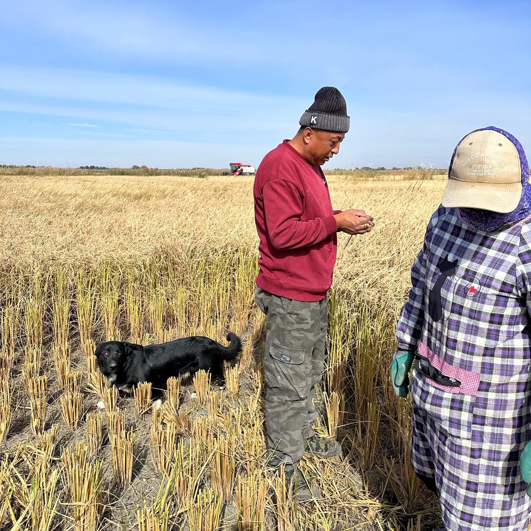 双双农产品销售店