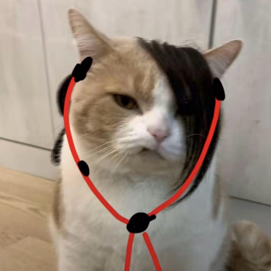 紫色的喜洋洋🙂‍↕️