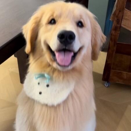 杀不死我的终究是我强大