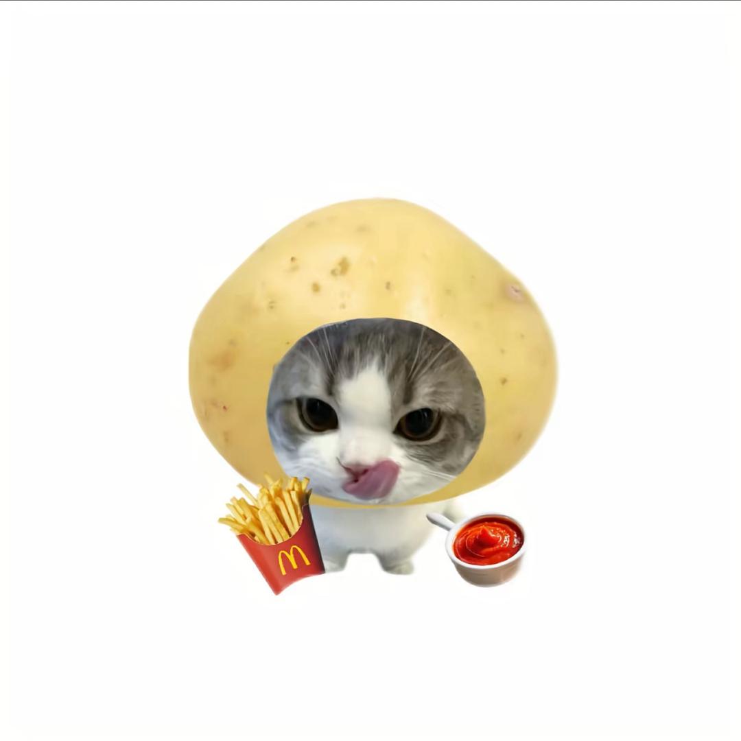 ^V.V^