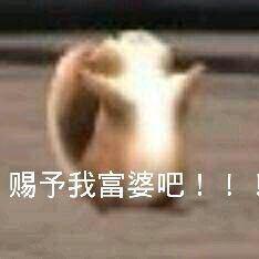 小猪小猪咕噜噜