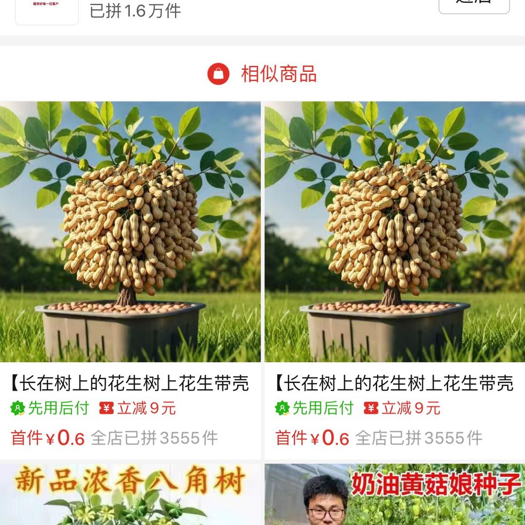 能忍