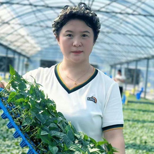 闫姐蔬菜种苗～专注口感番茄辣椒