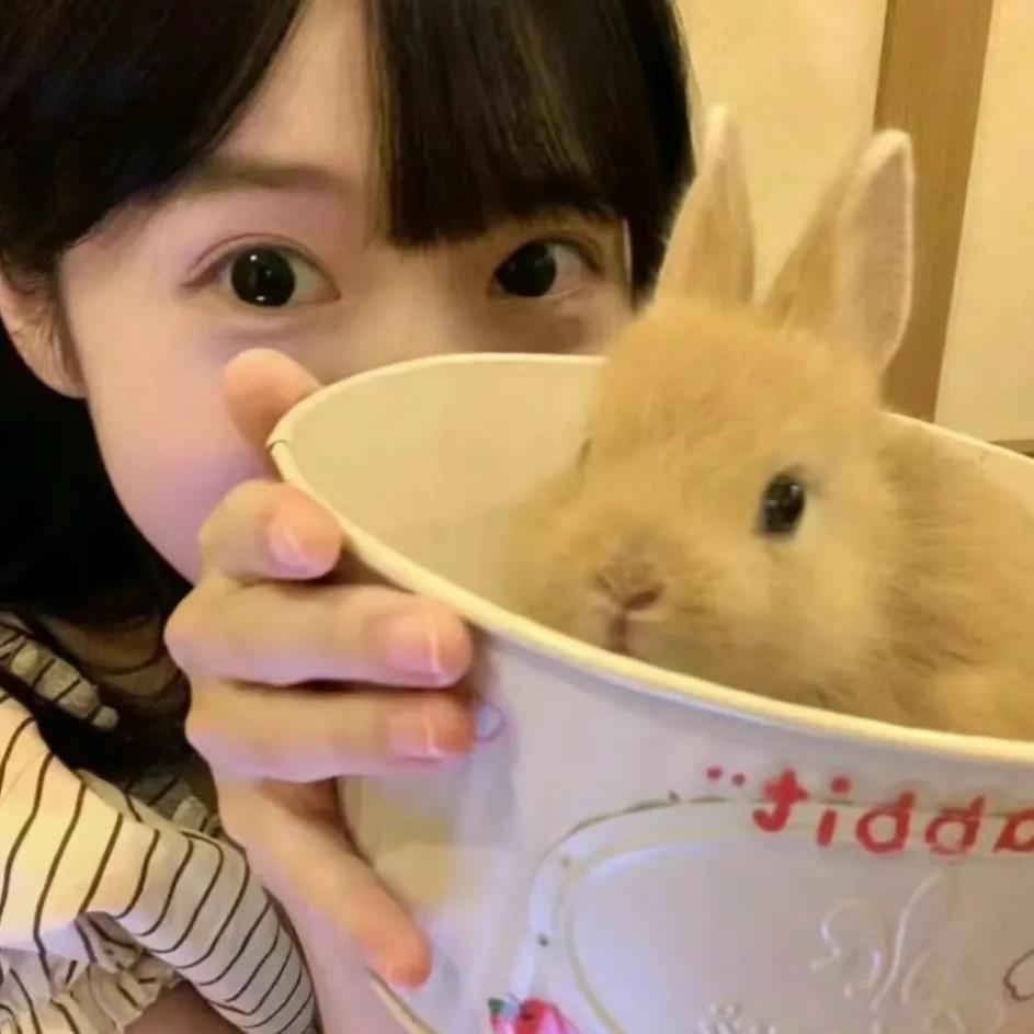 王苹果