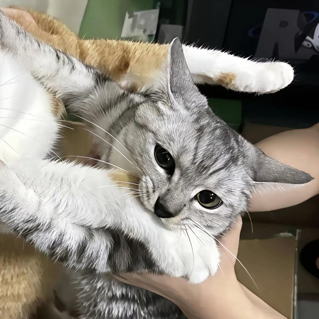 小🐦游6⃣️🦆