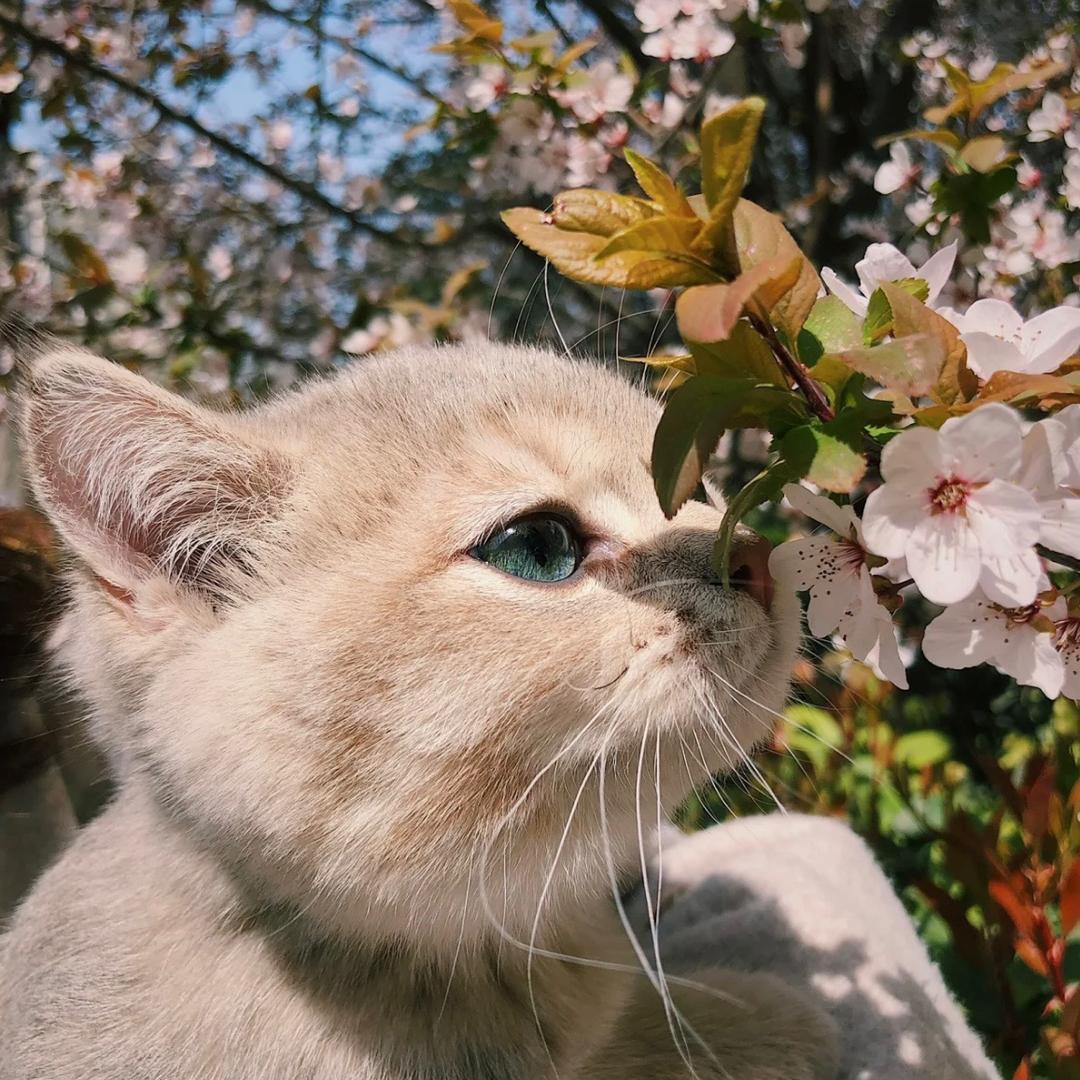 欠揍的🐿️松鼠