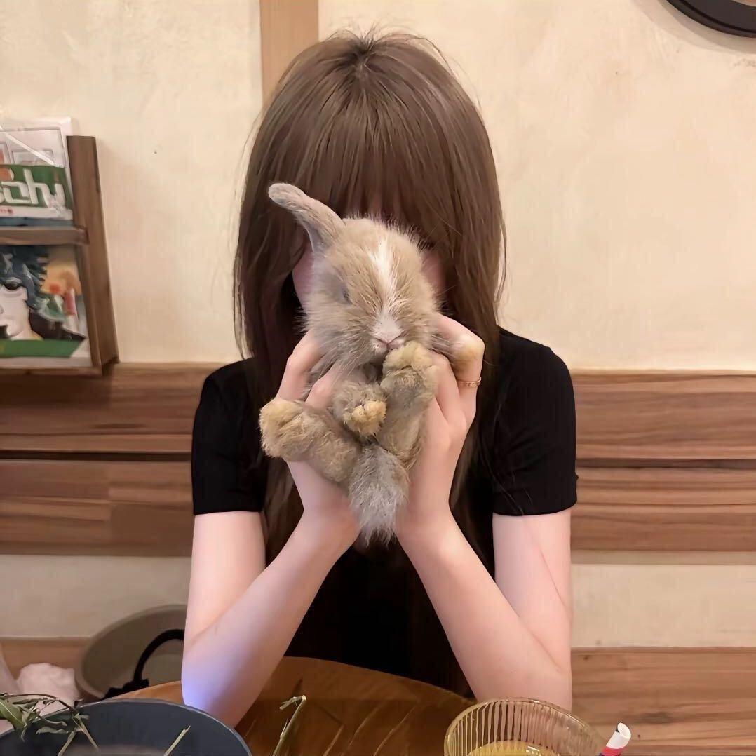 兔