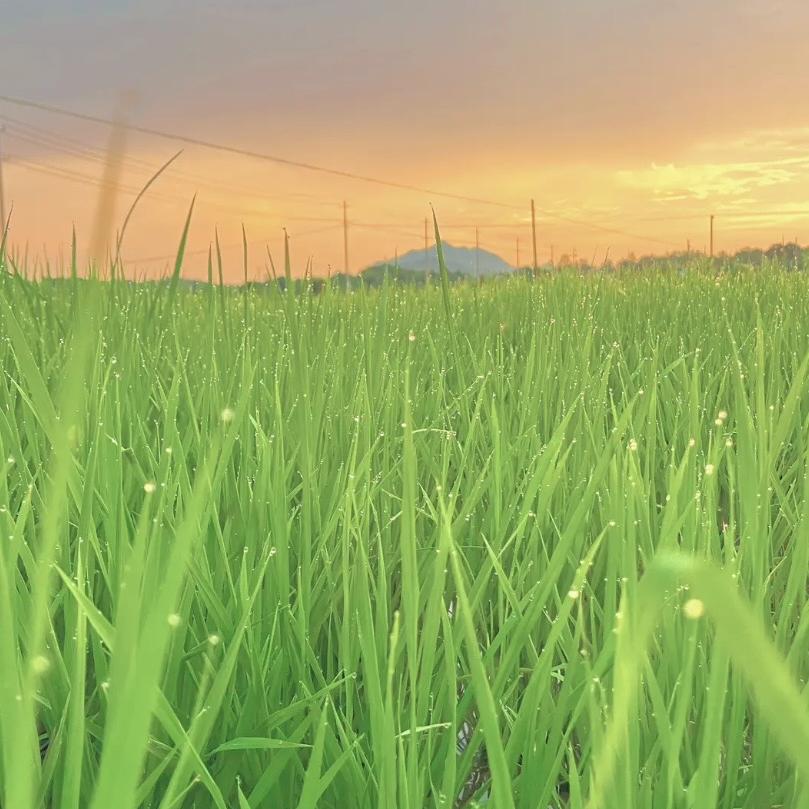 意辉甄选