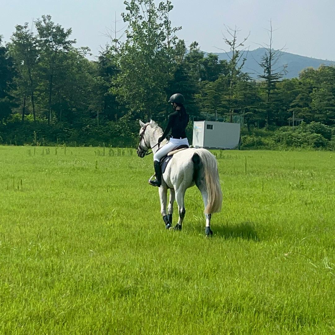 🥕爱骑马的娜老师🎹