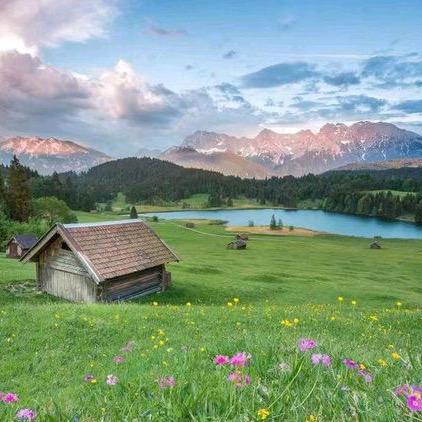 花絮纷飞蝶成双